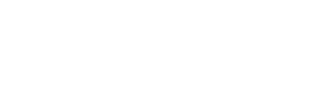 플라이트 811: 유일생존자