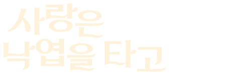 사랑은 낙엽을 타고