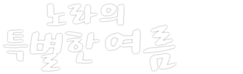 노라의 특별한 여름