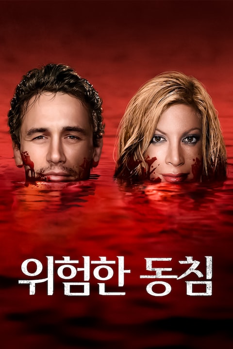 위험한 동침