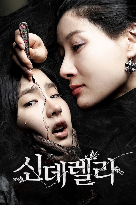 신데렐라
