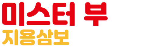 미스터 부: 지용삼보
