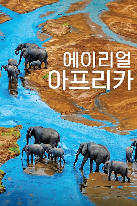 에이리얼 아프리카