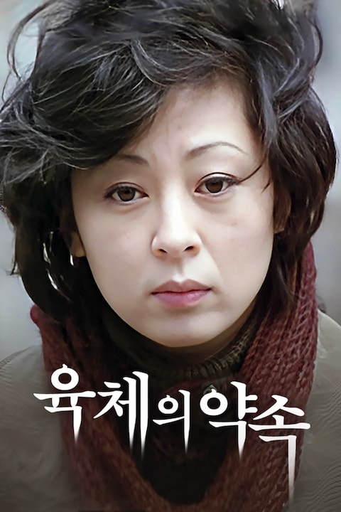 육체의 약속