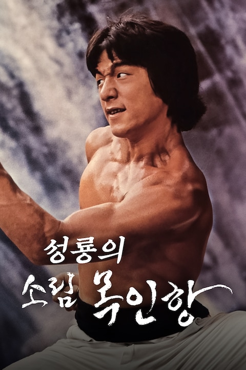 소림목인항