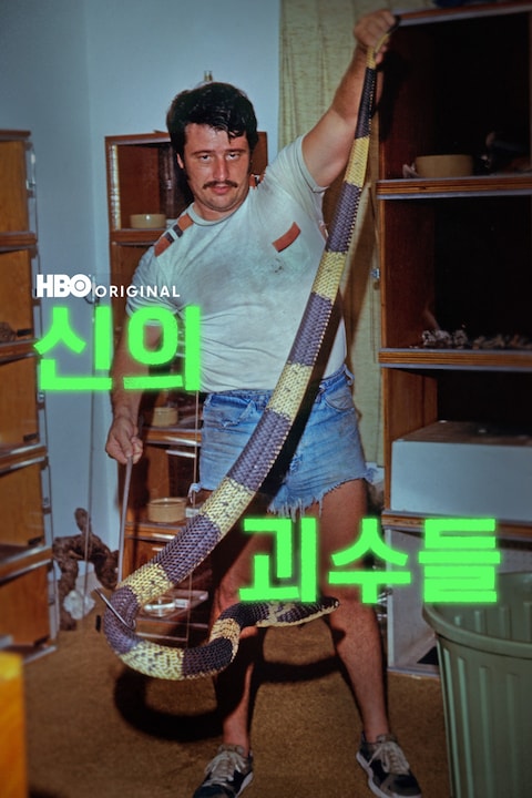신의 괴수들