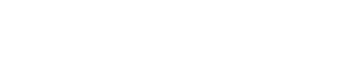 리볼버 릴리