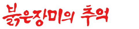 붉은 장미의 추억
