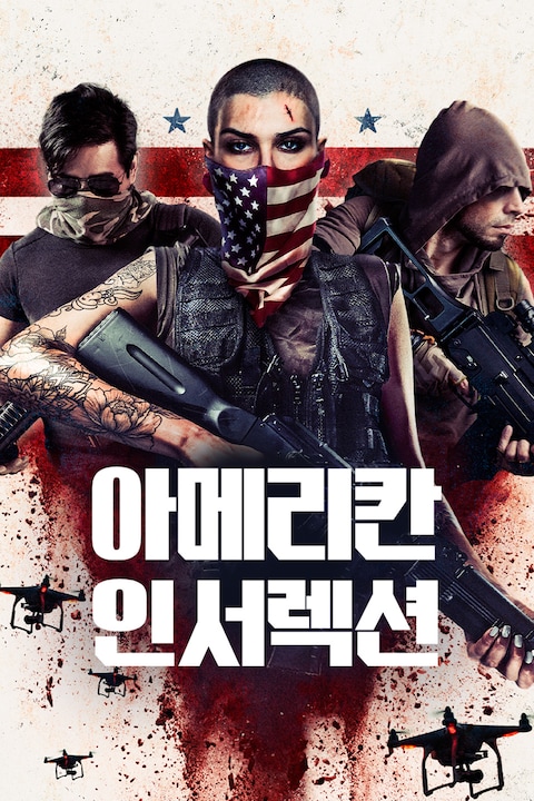 아메리칸 인서렉션
