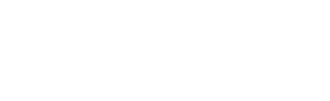 Bunnies Camp 2024 Tokyo Dome