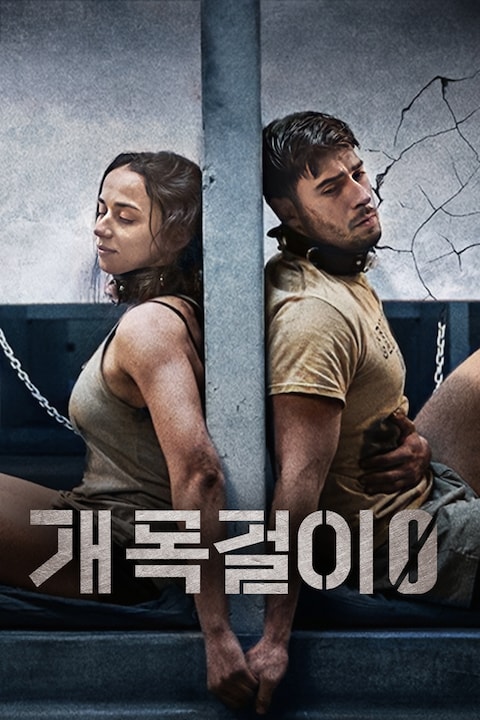 개목걸이 0