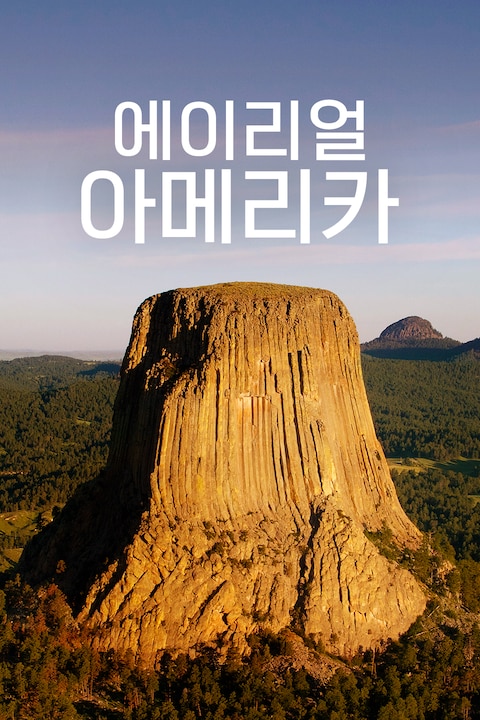에이리얼 아메리카