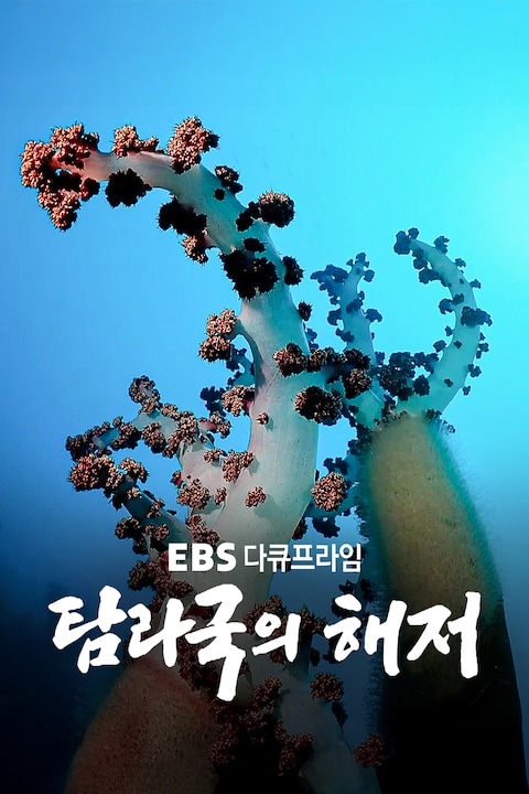 탐라국의 해저 | 다큐프라임