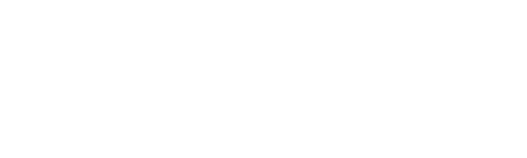 브라질에서 온 소년
