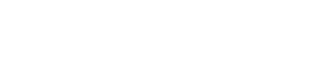 거미집