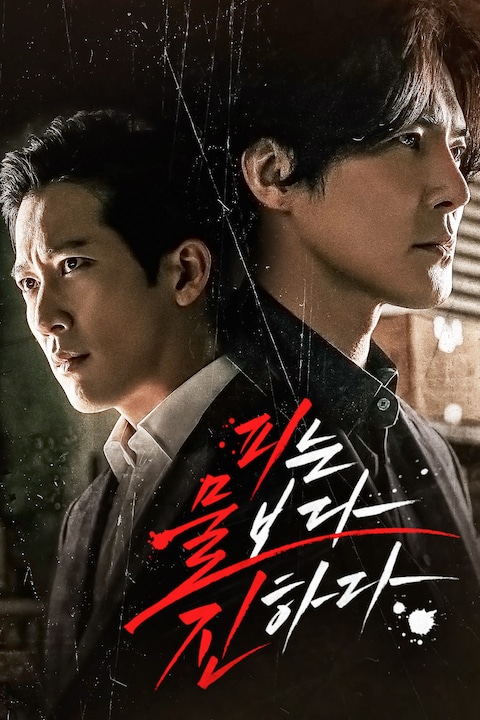 피는 물보다 진하다