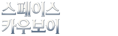 스페이스 카우보이