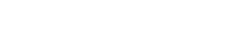 체스의 여왕