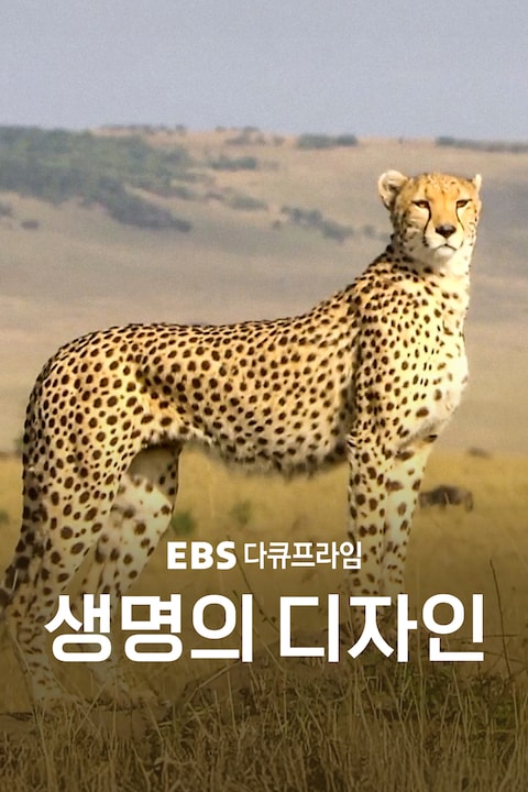 생명의 디자인 | 다큐프라임