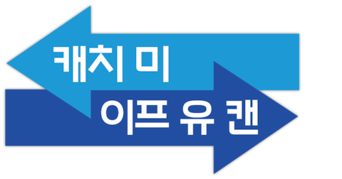 캐치 미 이프 유 캔