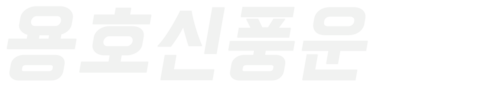 용호신풍운