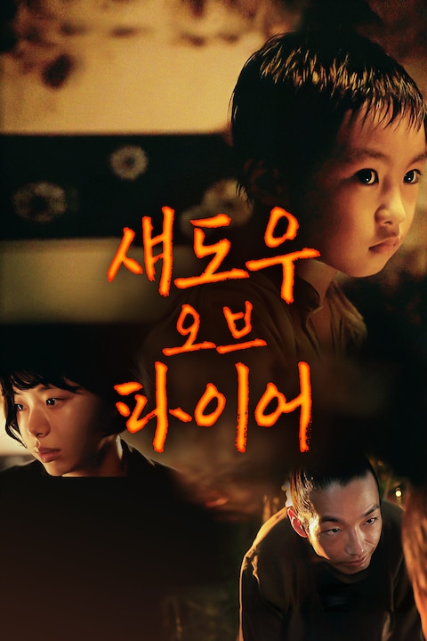 섀도우 오브 파이어