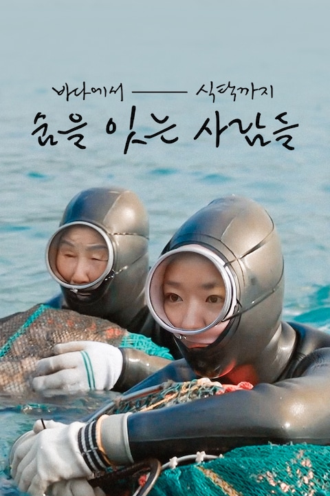 바다에서 식탁까지 숨을 잇는 사람들