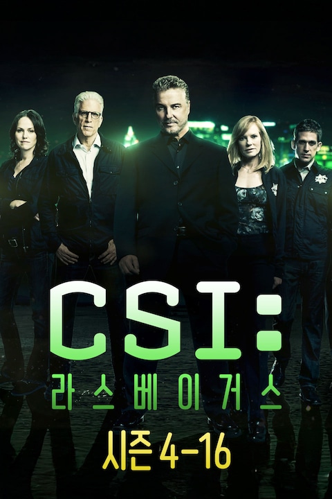 CSI (시즌 4-16)