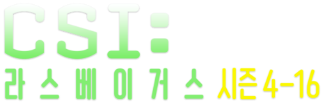 CSI (시즌 4-16)