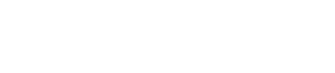 초급학교패왕: 스트리트파이터