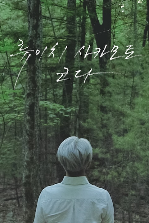 류이치 사카모토: 코다