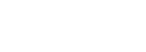 9월 11일에 일어난 일
