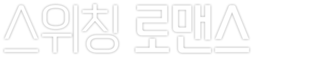 스위칭 로맨스