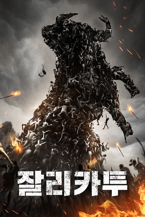 잘리카투