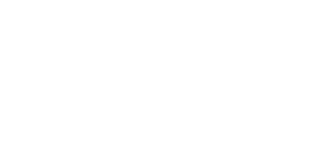 시간 여행자의 아내