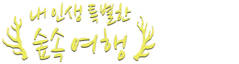 내 인생 특별한 숲속 여행