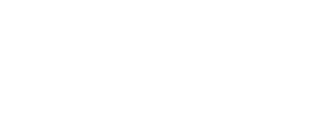 용의 길 -두 얼굴의 복수자-