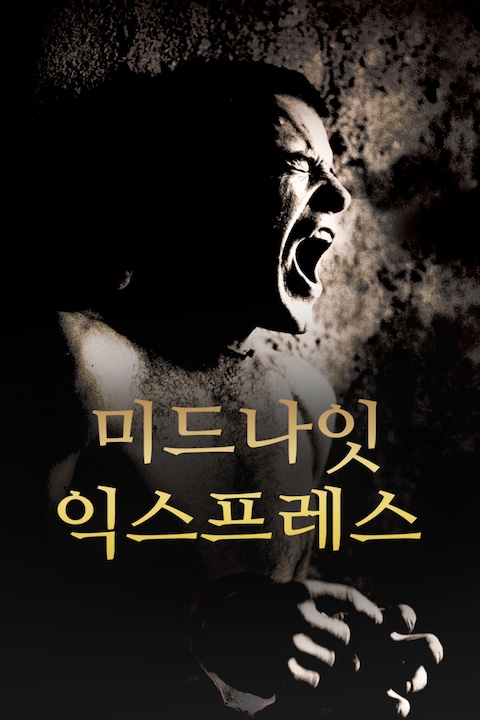 미드나잇 익스프레스
