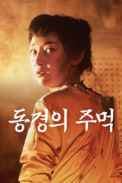 동경의 주먹