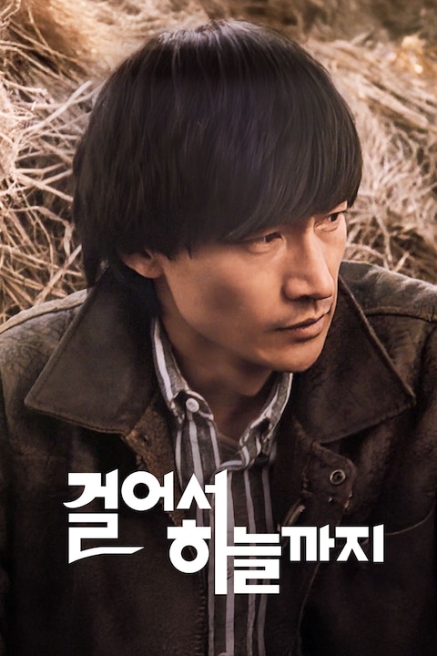 개 같은 날의 오후
