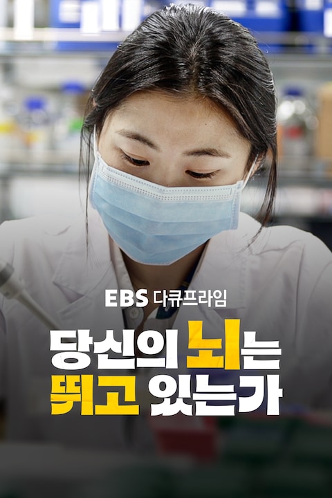 당신의 뇌는 뛰고 있는가 | 다큐프라임