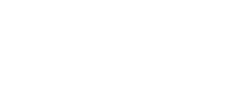 미트 페어런츠: 비기닝