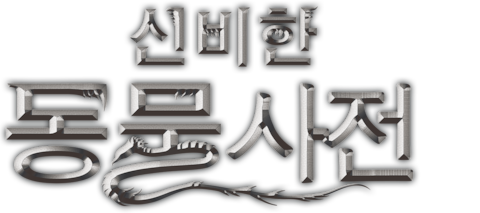 신비한 동물사전