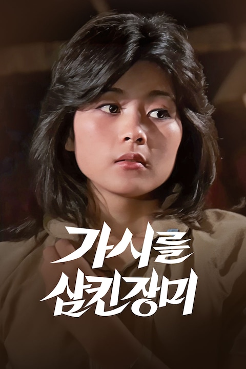 가시를 삼킨 장미