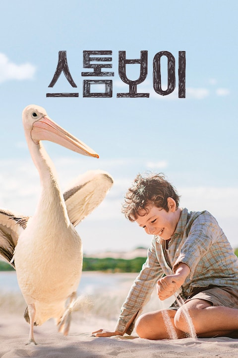 스톰 보이