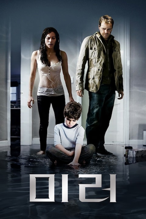미러 (2008)