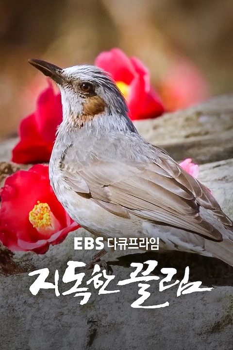 창사특집 지독한 끌림 | 다큐프라임