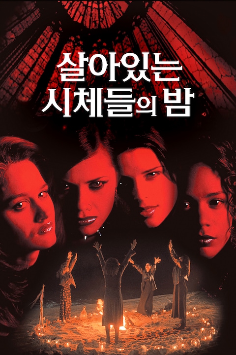 살아있는 시체들의 밤