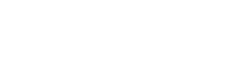 살아있는 시체들의 밤