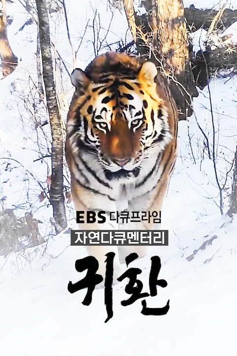 자연다큐멘터리 귀환 | 다큐프라임